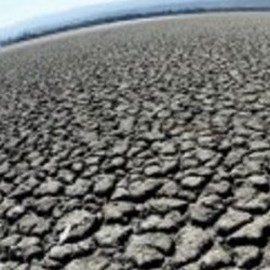 Copertina della news Natura e capitalismo